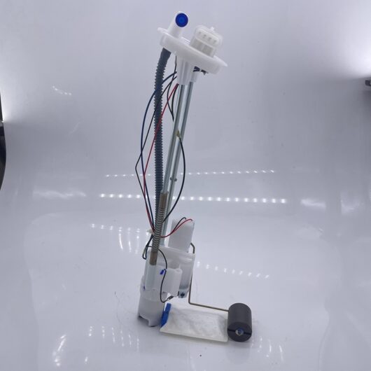 709000461 BOSCH CANAM OUTLANDER FUEL PUMP Sedectro